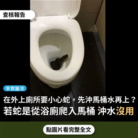 廁所放蛇|【事實釐清】網傳影片「在外上廁所，真的要小心蛇...記得先沖水。